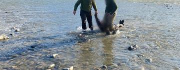 Прикордонники врятували батька з сином, які ледь не втопилися у річці, намагаючись незаконно потрапити в Румунію